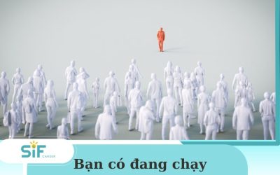 BẠN CÓ ĐANG CHẠY THEO ĐÁM ĐÔNG?